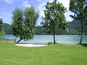 Badeplatz Wesenauer Fuschlsee